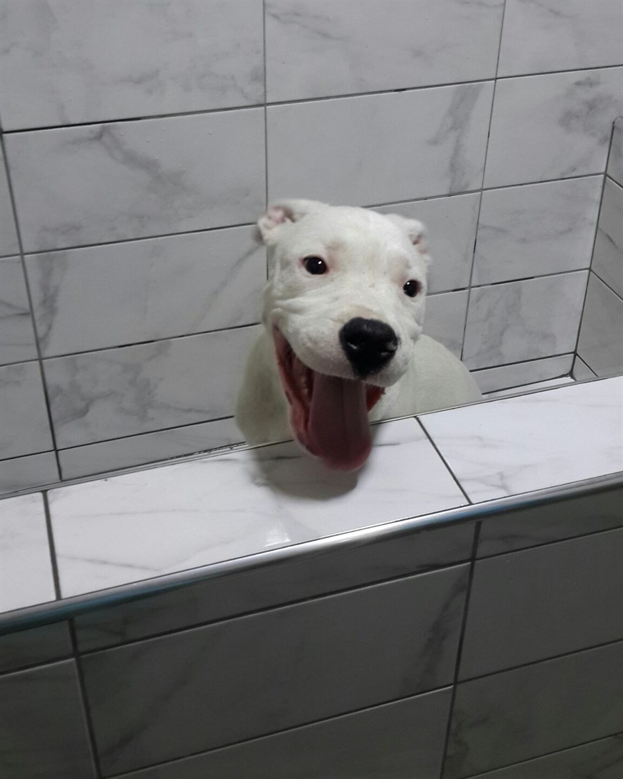 Max before shower