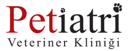 Petiatri