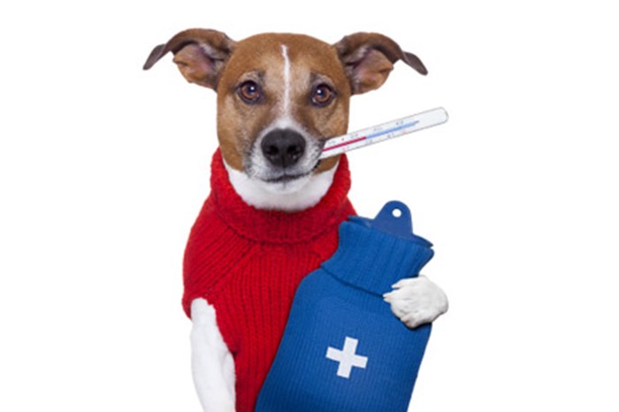 Emergency Examination