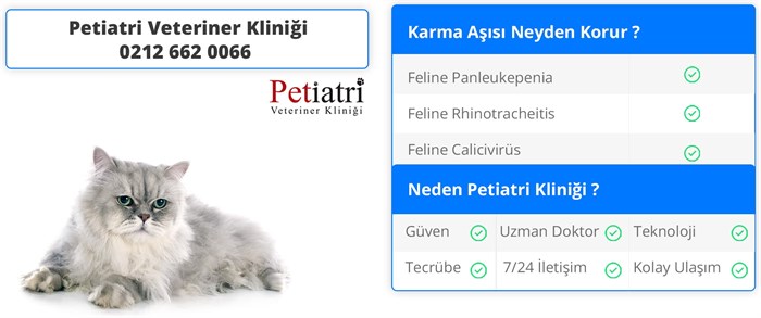 kedi karma aşısı neyden korur