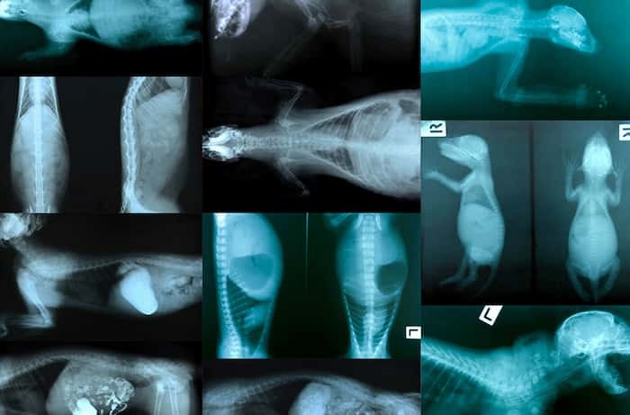 GÖRÜNTÜLENME (X-RAY)